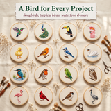 250 Bird Embroidery Patterns — PDF Bundle with DMC Charts